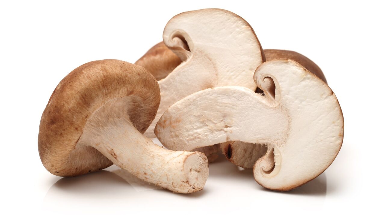 Shiitake mushrooms in the Kardiform Capsule